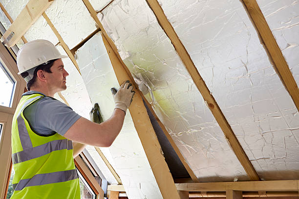Best Insulation Maintenance and Repair in Baltimore Highlands, MD