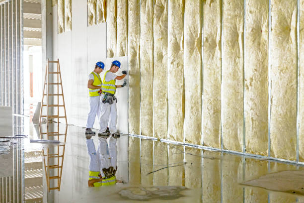 Best Insulation Maintenance and Repair in Baltimore Highlands, MD